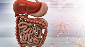 Gastro Enterology